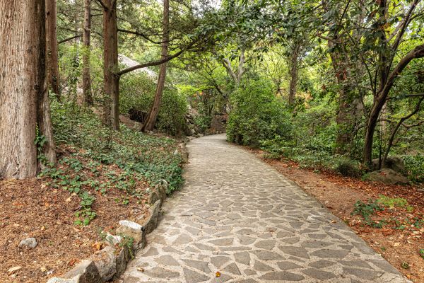 Stone Walkway Repair in Brick