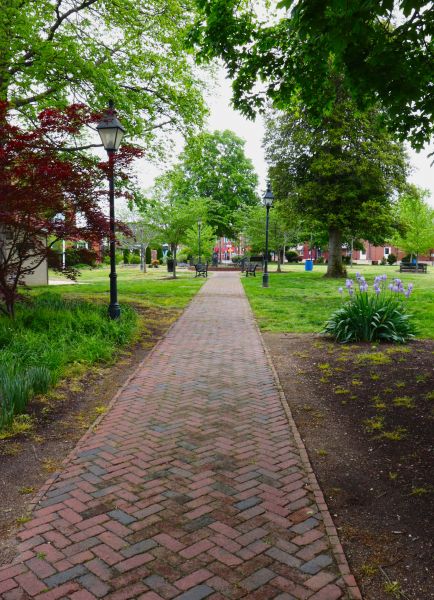 Brick Pathway Repair in Brick
