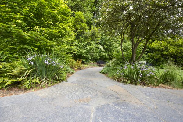 Stone Hardscape Service in Brick