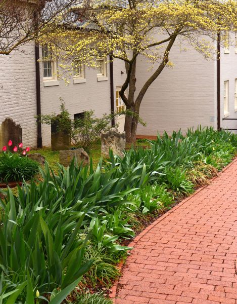 Brick Flatwork Repair in Brick